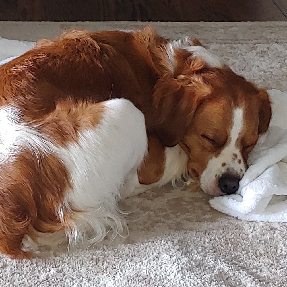 Meet your Posher, U meme 2